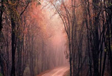 广州恒大还在中超吗？